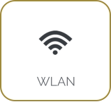WLAN