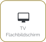  TV Flachbildschirm