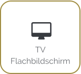  TV Flachbildschirm